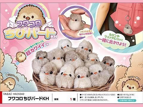  �ե拾�����ӥС��ɣˣȡ��ȣ��ã���������ñ������ۣ�����