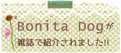 雑誌紹介Bonita Dog