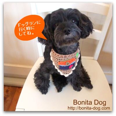 犬鑑札入れポケット付バンダナ Bonita Dogオリジナル手編みバンダナ