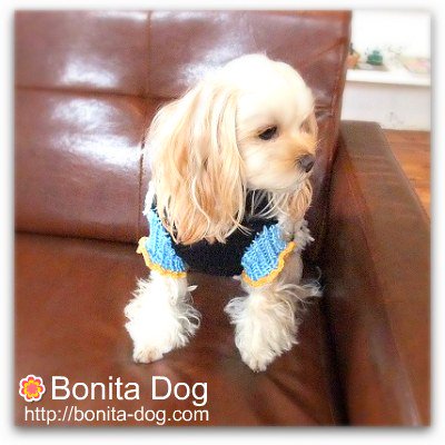 訳あり商品犬服 手編みのセーター Bonita Dog