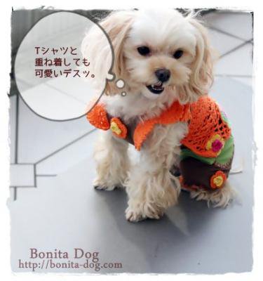 つよぽん様専用 犬服 ハンドメイド犬服+kocomo.jp
