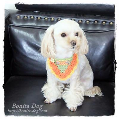犬のかわいいバンダナ Bonita Dogオリジナル手編みバンダナ