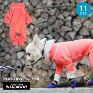 WANDAWAYۤĤĤѡ / ͥ󥪥󥸡NORȴӡɿСɱǽܿ䴶ǺΥȥå०