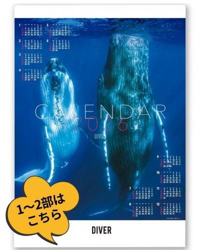 <img class='new_mark_img1' src='https://img.shop-pro.jp/img/new/icons25.gif' style='border:none;display:inline;margin:0px;padding:0px;width:auto;' />DIVERꥸʥ륫 2026 1~2Τʸ