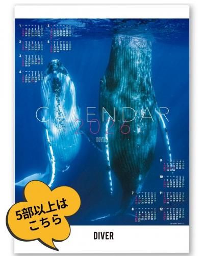 <img class='new_mark_img1' src='https://img.shop-pro.jp/img/new/icons25.gif' style='border:none;display:inline;margin:0px;padding:0px;width:auto;' />DIVERꥸʥ륫 2026 ޤȤ㤤5ʾΤʸ