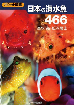 ポケット図鑑 日本の海水魚466