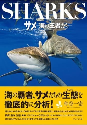 あなたは知ってる 海のハンター サメ の秘密 ダイビングならdiver Online