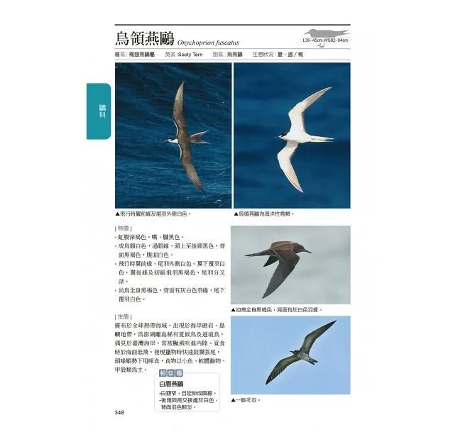 台湾野鳥図鑑(水鳥編)<增訂版>台湾版【海外直送品】台湾の書籍 台湾野鳥図鑑(水鳥編)<增訂版>台湾版【海外直送品】台湾の書籍