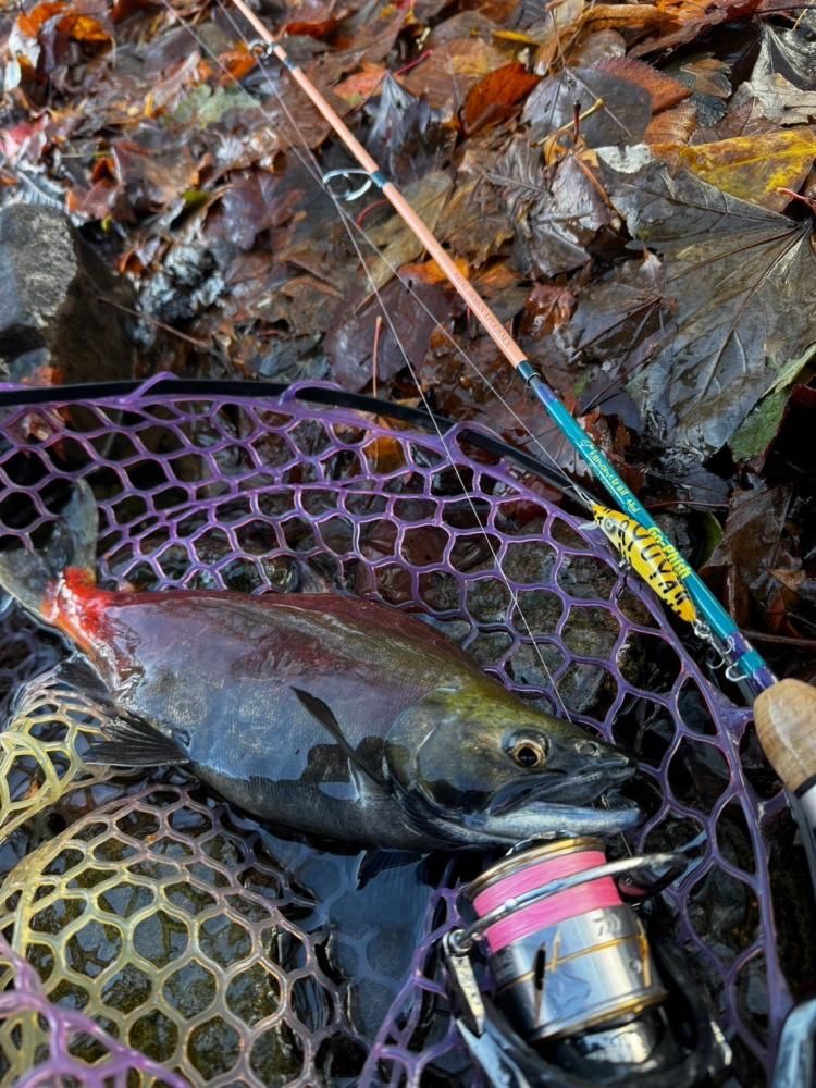 熱い販売 kamometrail k48ul ND ver. trout special - NATAL DESIGN ロッド