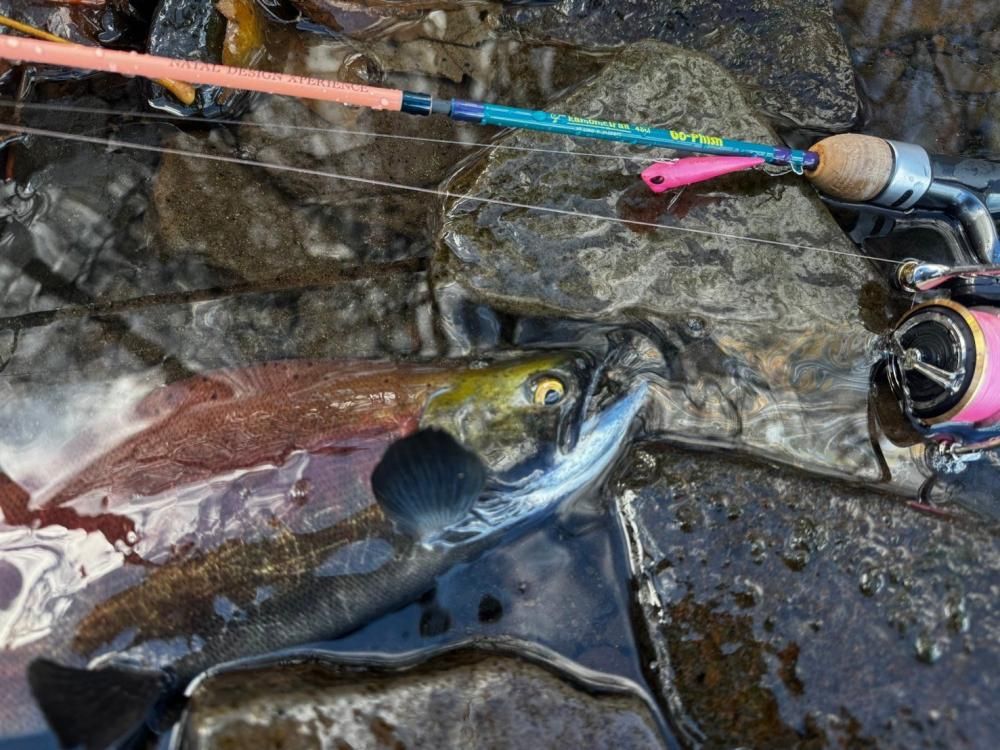 kamometrail k48ul ND ver. trout special - NATAL DESIGN
