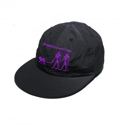 ͽʡ1ܰʹߤϤͽANBS CAP