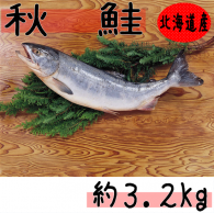 【新巻鮭　秋鮭（オス）　約３．２ｋｇ】