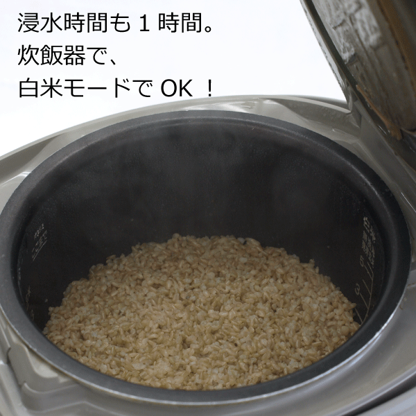 やわらか若玄米 やわらか若玄米