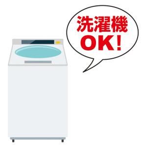 <img class='new_mark_img1' src='https://img.shop-pro.jp/img/new/icons25.gif' style='border:none;display:inline;margin:0px;padding:0px;width:auto;' />ڽĲȥåۥڥեСץڥա2P55003P6600