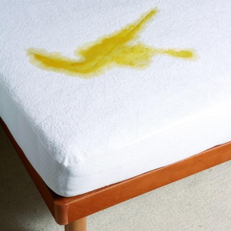 ڥޥåȥ쥹ץƥ ʸԲġ