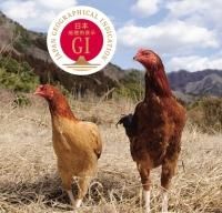 奥久慈セレクション 干し芋の通販 茨城県産の平干し 丸干し 株 ほしいも販売 奥久慈セレクション 干し芋の通販 茨城県産の平干し 丸干し 株 ほしいも販売