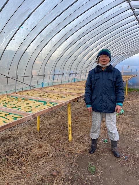 楽天市場】干し芋 《2袋》スティック おしゃれ 国産 栃木 無添加