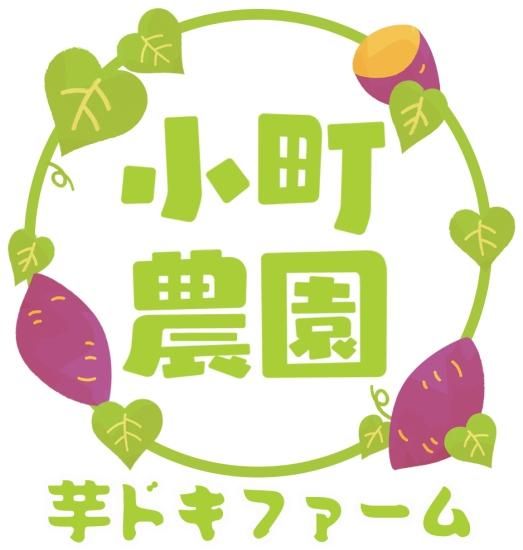 木小屋の干し芋ほしいも 紅はるか 熟成平干し10k 留めれ 完全