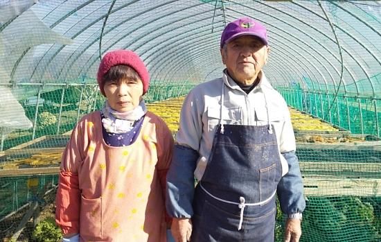 弘子さん家のほしいも 紅はるか【訳あり】平干しバラ詰め2Kg