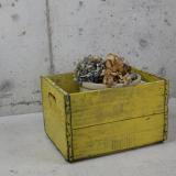 SOLD antique wood box case (yellow)