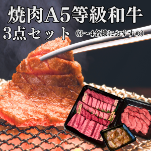 <img class='new_mark_img1' src='https://img.shop-pro.jp/img/new/icons14.gif' style='border:none;display:inline;margin:0px;padding:0px;width:auto;' /> µ С٥塼å A