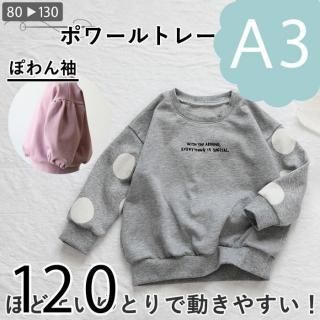 ڥǡA3ˡۥݥȥ졼ʡ120
