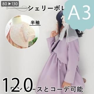 ڥǡA3ˡۥ꡼ܥ120