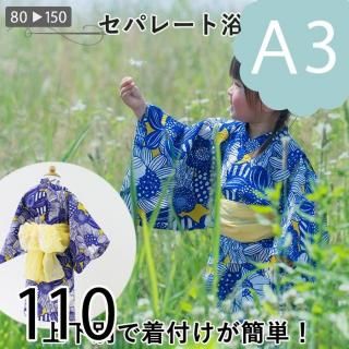 ڥǡA3ˡۥѥ졼110