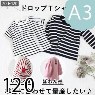 ڥǡA3ˡۥɥåףԥġ120