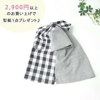 �ڥץ쥼��ȷ���ۥ����顼�����(���Ⱦ��)