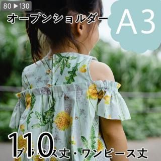 ڥǡA3ˡۥץ󥷥֥饦110