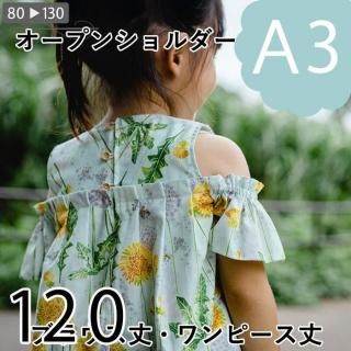 ڥǡA3ˡۥץ󥷥֥饦120