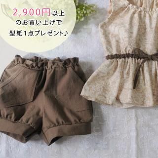 �ڥץ쥼��ȷ���ۥۥåȥѥ�ġ����Ⱦ����