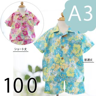 【ダウンロード版（A3）】アロハシャツ（100）