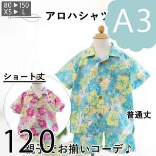 ڥǡA3ˡۥϥġ120