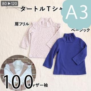 ڥǡA3ˡۥȥԥġ100