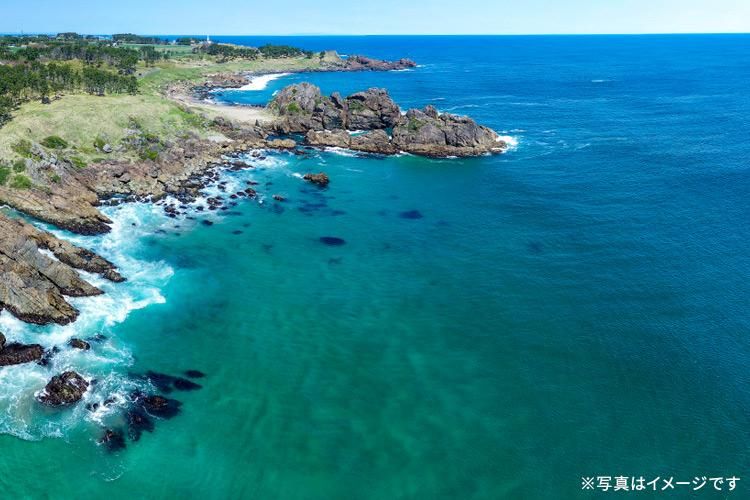 今が旬！青森の「生うに」200g×2パック 季節限定品！青森県八戸産のお