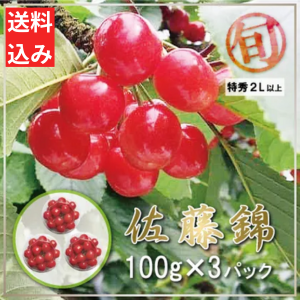 <img class='new_mark_img1' src='https://img.shop-pro.jp/img/new/icons62.gif' style='border:none;display:inline;margin:0px;padding:0px;width:auto;' />10åȸꡪ<br>ڻľۤܡֺƣӡ  100g3ѥå ý2Lʾ Į<br>6ܤ鲼ܤޤǽвͽ