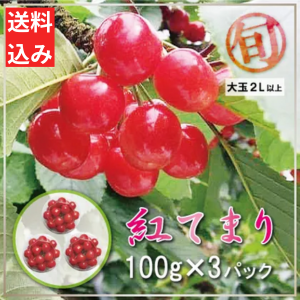 <img class='new_mark_img1' src='https://img.shop-pro.jp/img/new/icons62.gif' style='border:none;display:inline;margin:0px;padding:0px;width:auto;' />10åȸꡪ<br>ڻľۤܡֹȤƤޤ 100g3ѥå ý2Lʾ Į<br>7ܤܤޤǽвͽ