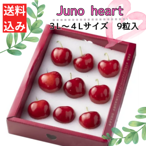 <img class='new_mark_img1' src='https://img.shop-pro.jp/img/new/icons62.gif' style='border:none;display:inline;margin:0px;padding:0px;width:auto;' />20åȸꡪ<br>ϡȤη礭˥ӥåꡪ<br>ĿĮ<br>ʼ֥Υϡȡ<br>LLߣγ<br>¼Ĳ̡