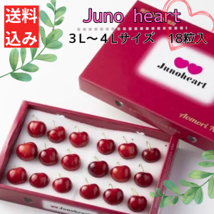 <img class='new_mark_img1' src='https://img.shop-pro.jp/img/new/icons62.gif' style='border:none;display:inline;margin:0px;padding:0px;width:auto;' />20åȸꡪ<br>ϡȤη礭˥ӥåꡪ<br>ĿĮ<br>ʼ֥Υϡȡ<br>LL18γ<br>¼Ĳ̡