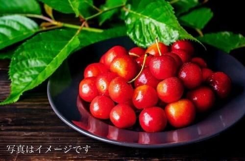 どろっぷ様  さくらんぼ  佐藤錦 07-10-021 さくらんぼ(佐藤錦)700g - 山形県天童市｜ふるさと