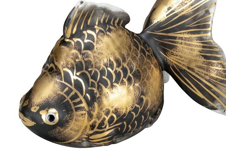 5号金魚 黒彩