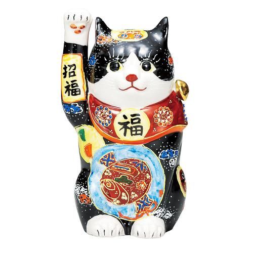 6澷ǭ ʸ