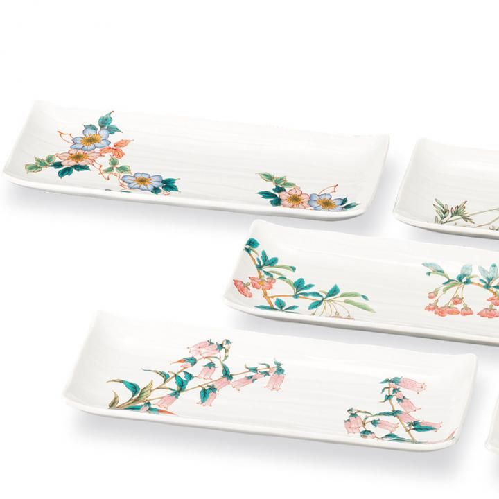 9.6号皿揃 絵変わり草花 化粧箱入り - 和食器の通販なら九谷焼専門店の
