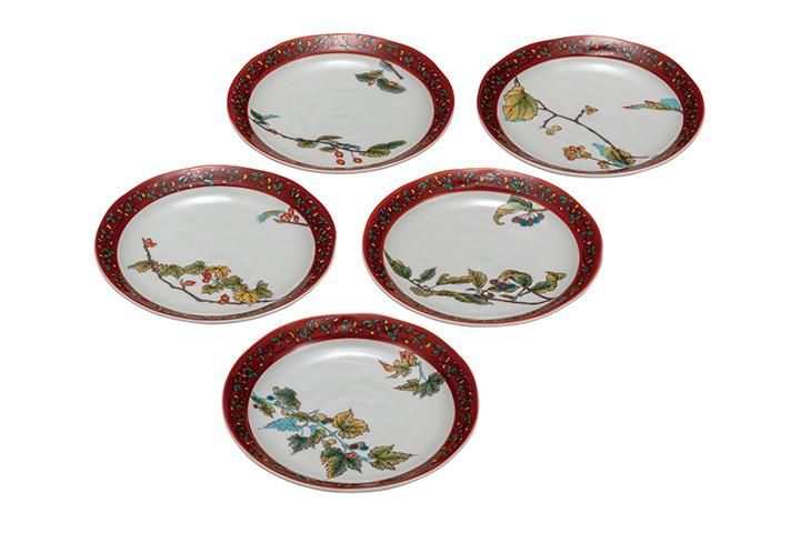 5号皿揃 木の実絵変り