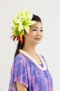 フラショップ スイートアロハ公式通販サイト Hula Shop Sweet Aloha