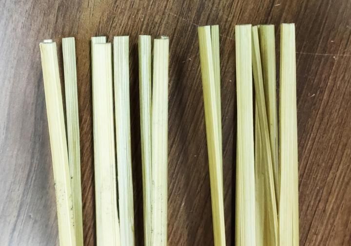 プイリ スイートアロハ フラダンス PUILI