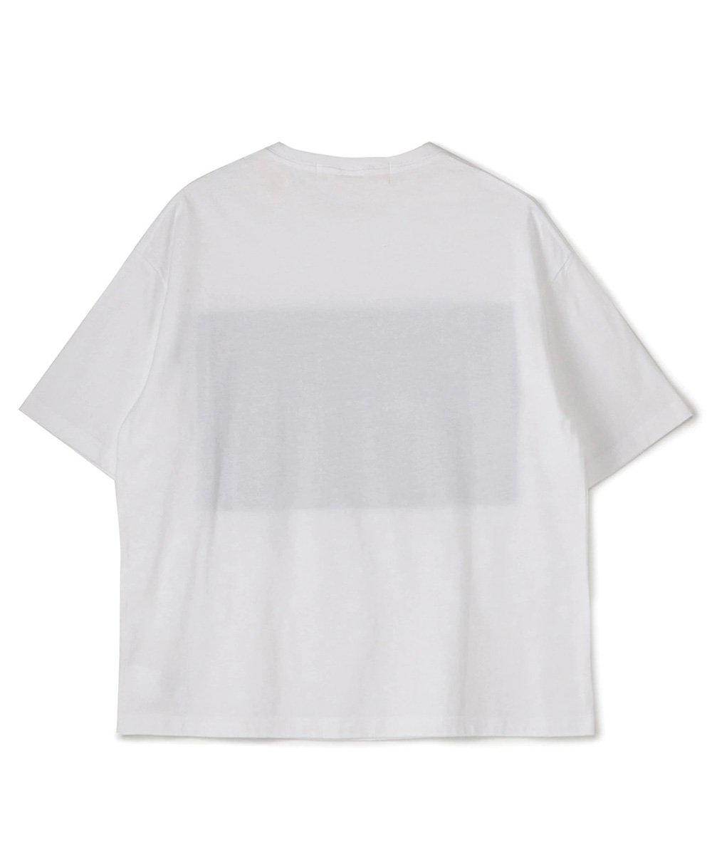 Cotton Jersey Basic Big Cut Sew / ۥ磻 [GT-T29-070-1-04]