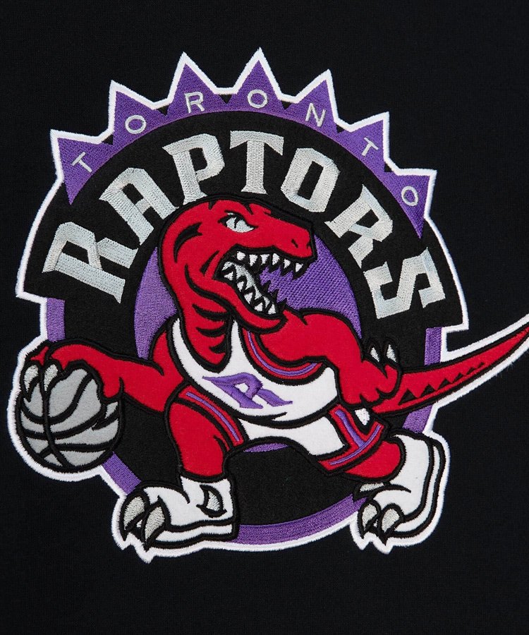 NBA Team Origins Fleece Hoody : Toronto Raptors / ブラック [FPHD4849-TRAYYPPPBLCK]